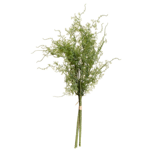 faux asparagus fern
