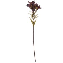 Load image into Gallery viewer, Chocolate Lily Spray
