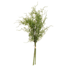 Load image into Gallery viewer, faux asparagus fern
