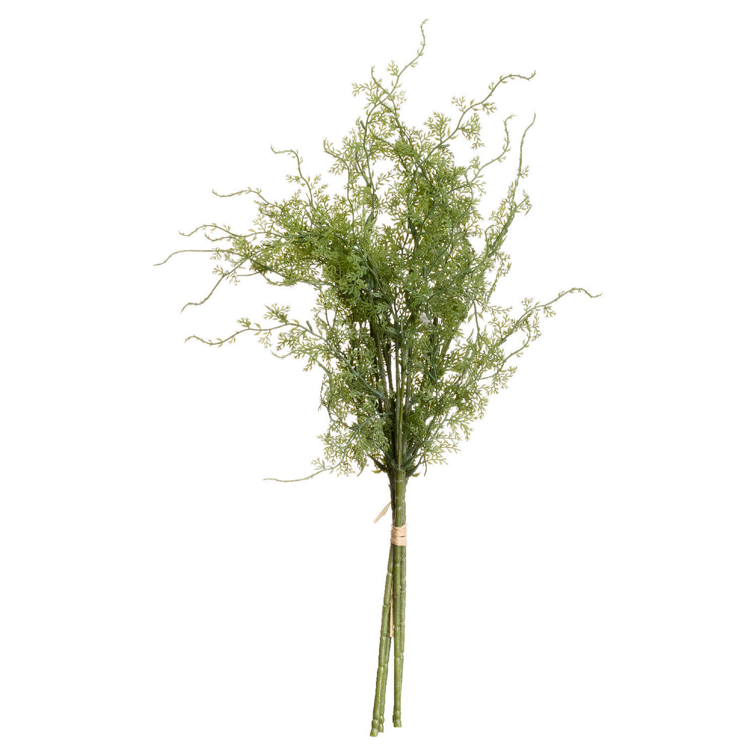 faux asparagus fern