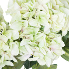 Load image into Gallery viewer, Green Hydrangea Bouquet

