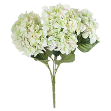 Load image into Gallery viewer, Green Hydrangea Bouquet
